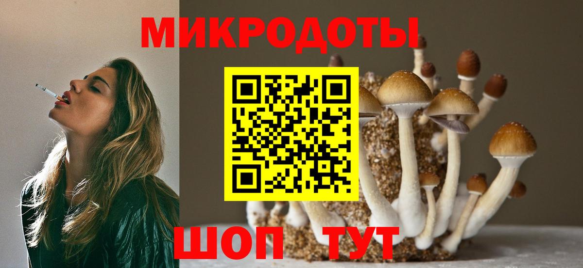 Канаш  Псилоцибиновые грибы Psilocybine cubensis  Галлюциногенные грибы Psilocybine cubensis  Вход с VPN 