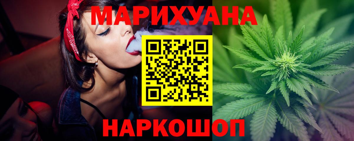 Марихуана сатива Канаш